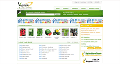 Desktop Screenshot of chinavegnet.com