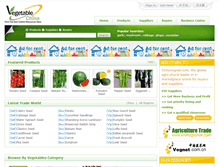 Tablet Screenshot of chinavegnet.com